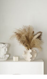 WhatsApp-Image-2024-11-04-at-3.02.19-PM