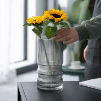 ChatGPT Image 16 ene 2026, 14_19_54