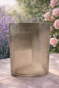 WhatsApp Image 2026-01-16 at 3.35.58 PM